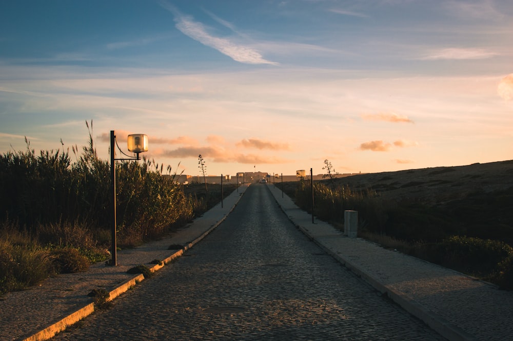 estrada de concreto perto de campo de grama