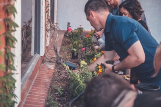 shallow focus photo of people looking at plants during daytime