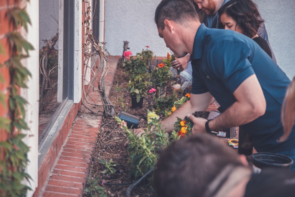 shallow focus photo of people looking at plants during daytime