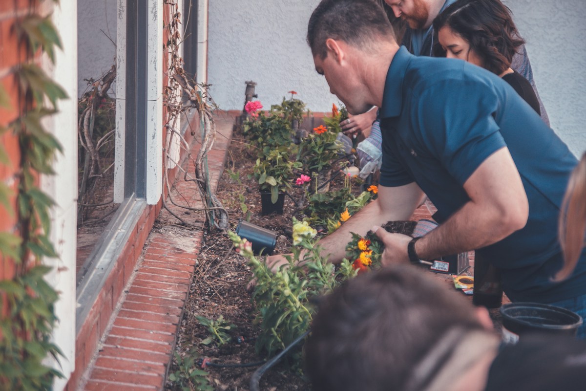 Coup de main entre voisins pour entretenir un jardin - Guardiens