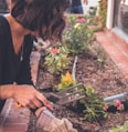 Tending the garden...