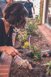 Volunteers planting flowers in a community garden on a sunny day in Charlotte.