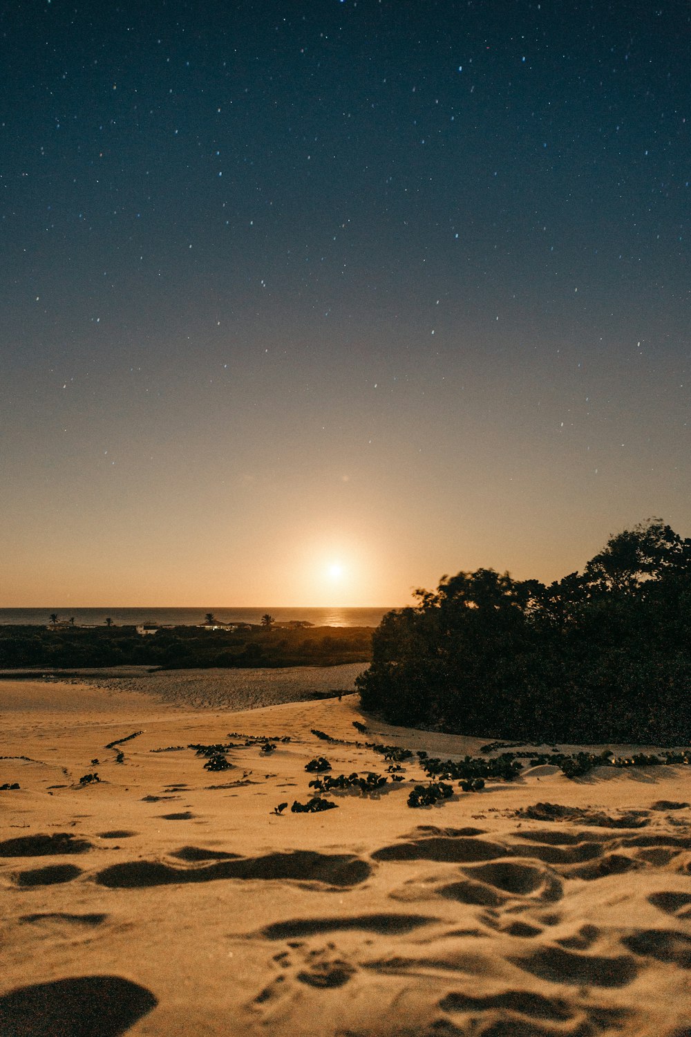 brown sand