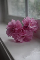 A sunlit window sill adorned with blush pink peonies in a clear glass vase, casting gentle shadows on white walls.