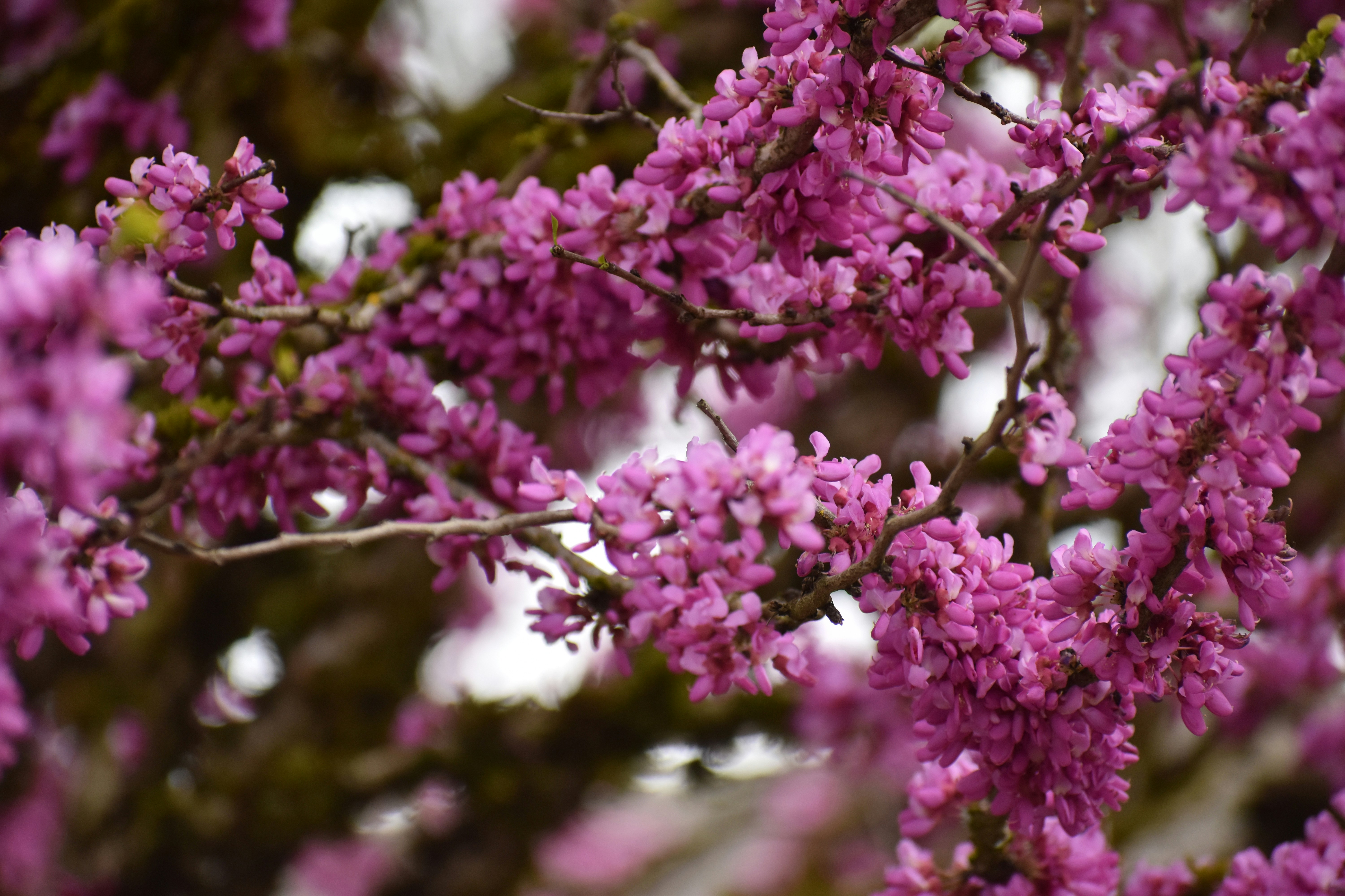 Photo by pictures102