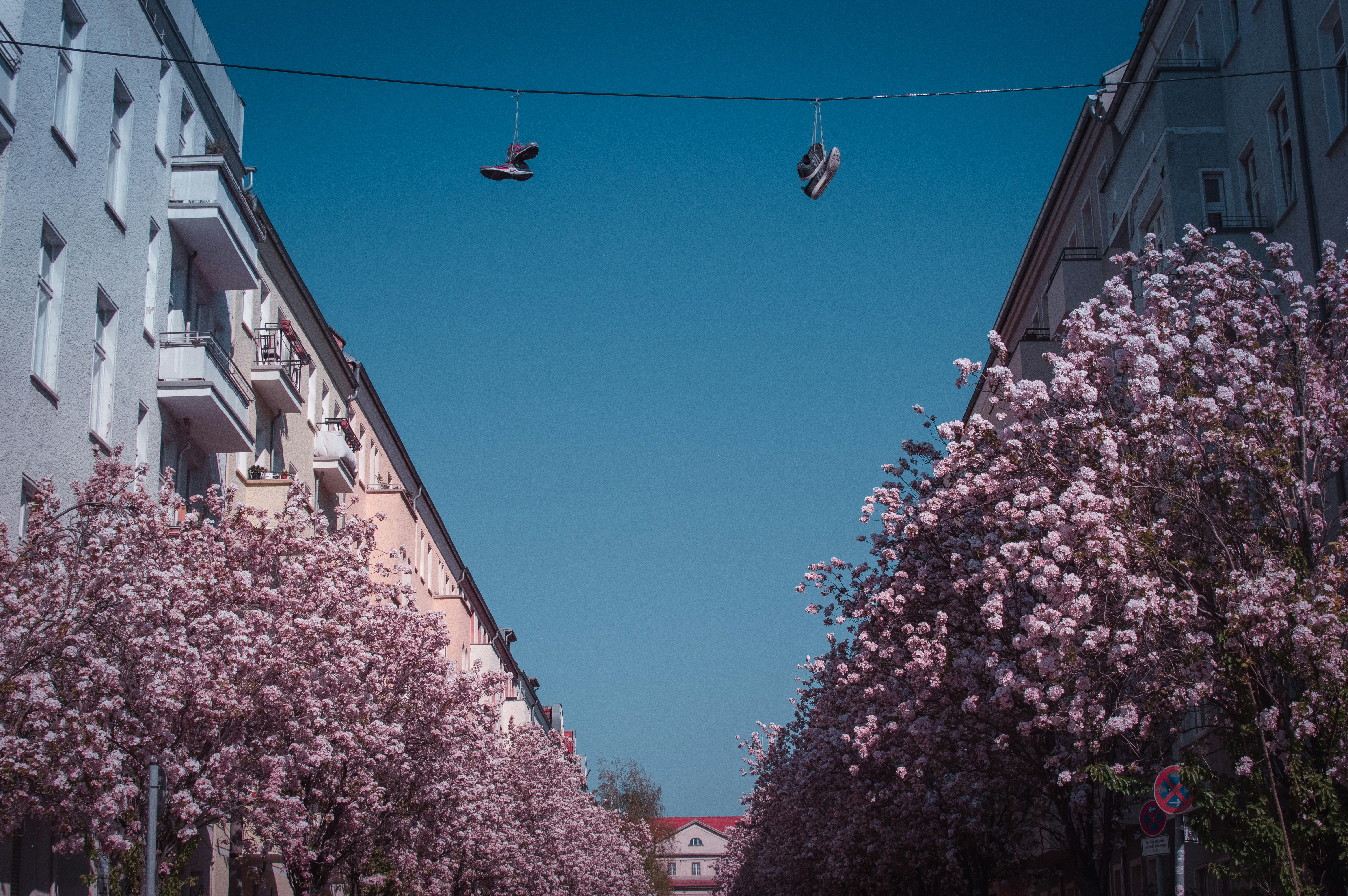 Photo by luca_severin