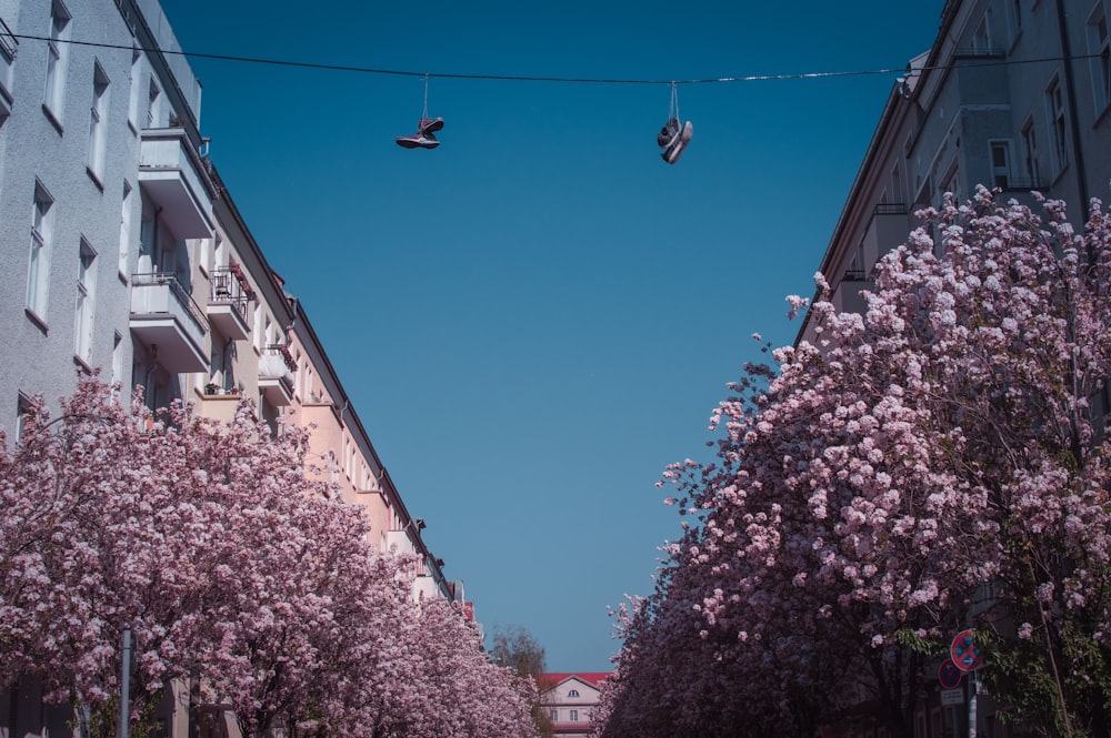 due paia di scarpe appese al filo