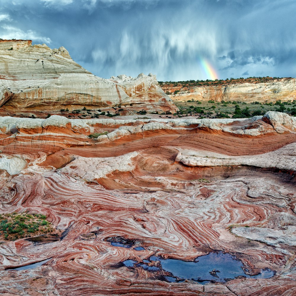 landscape during daytime