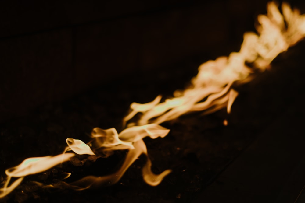 selective focus photo of fire