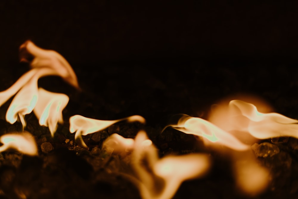 selective focus photo of fire