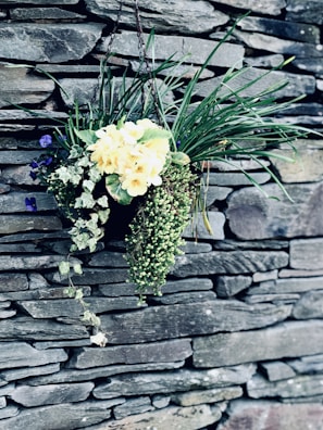 A hanging basket with trailing ivy plants against a bright wall.