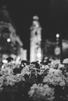 A black and white image focusing on flowers in the foreground, with a blurred cityscape in the background. The scene captures city lights and an indistinct tall structure, possibly a clock tower or monument, creating a juxtaposition between natural and urban elements.