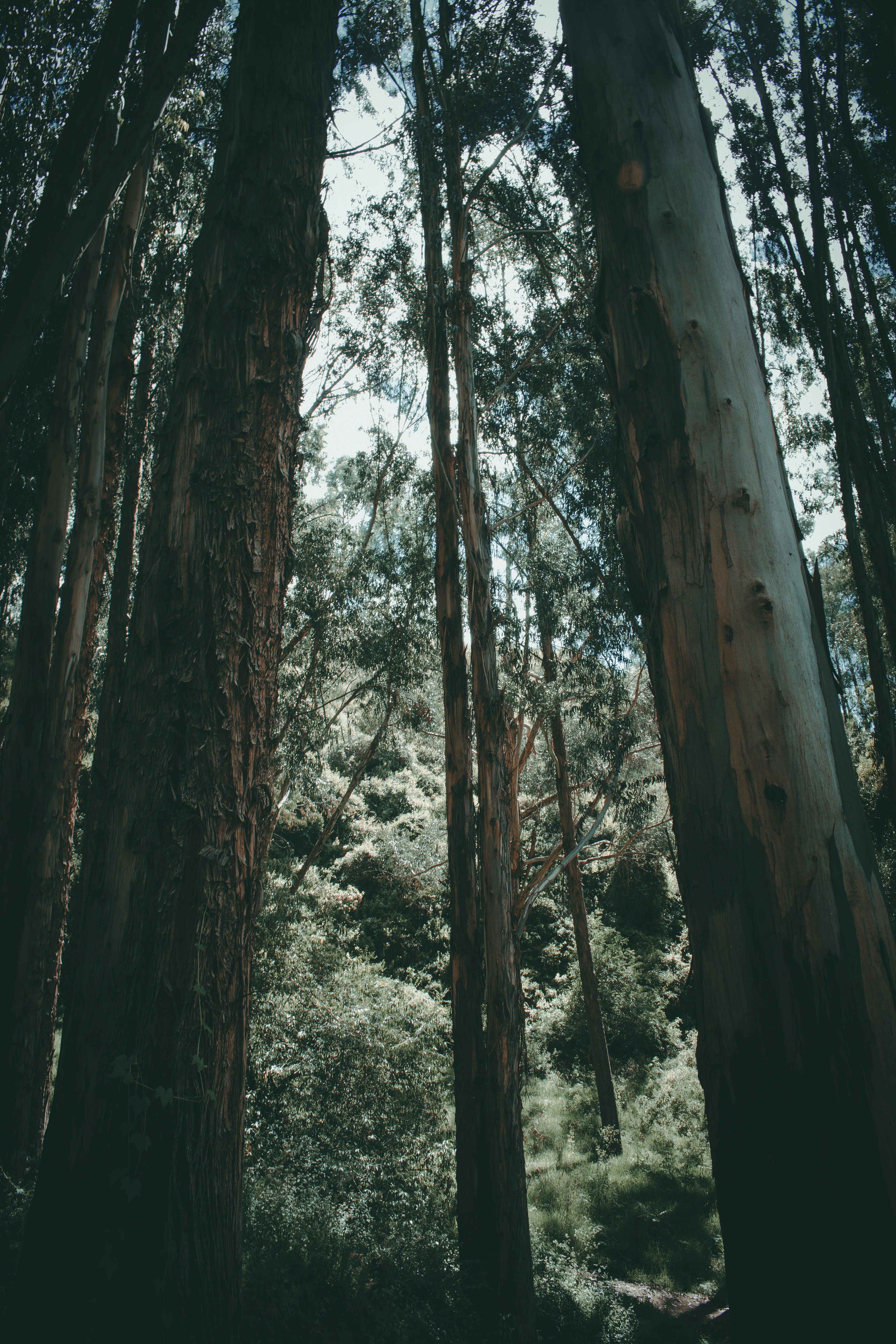 Photo by josepumasayrin