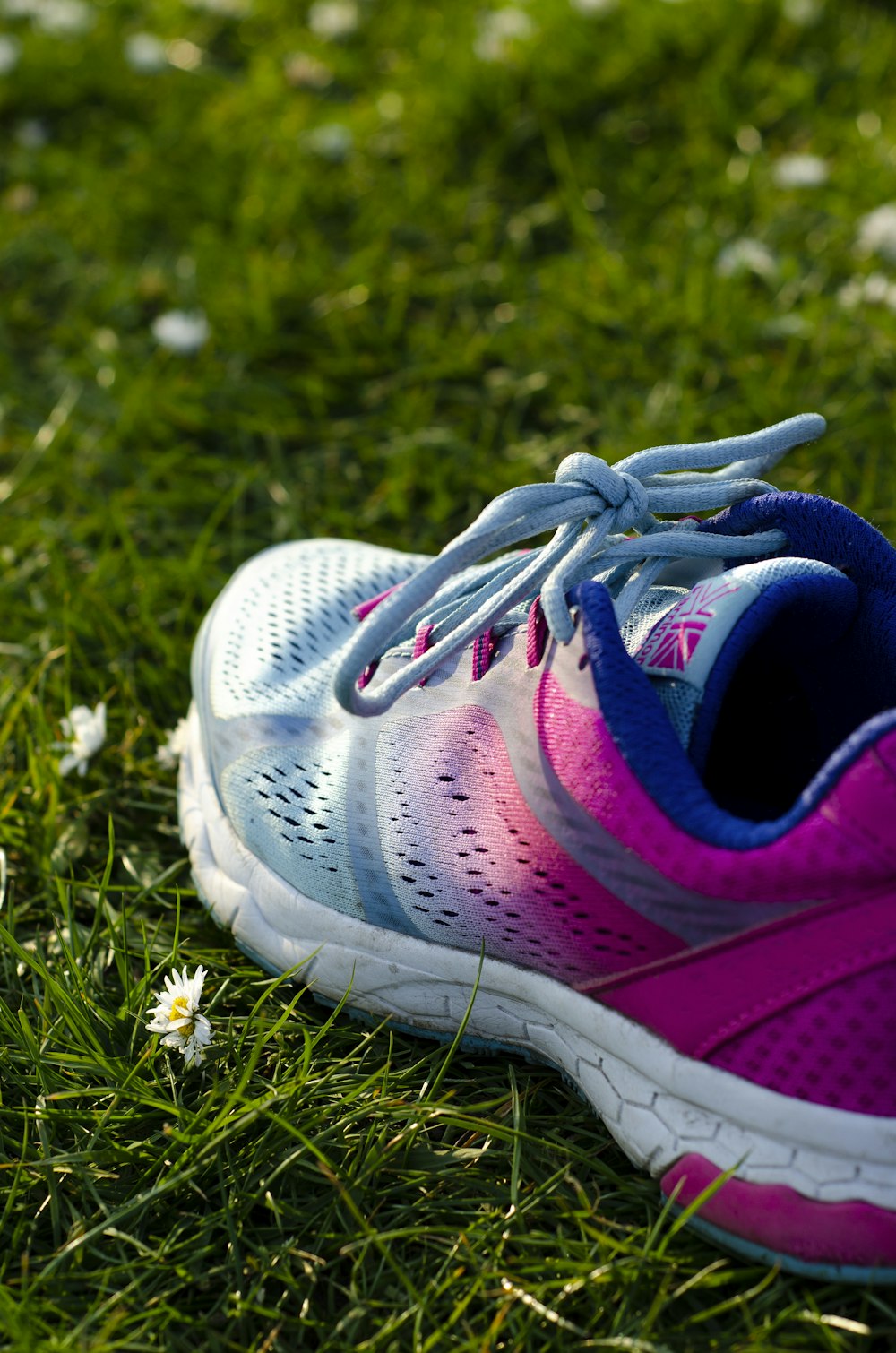 close up photo of blue and pink running shoe on green grass
