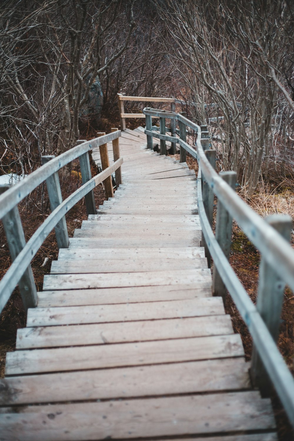 brown wooden bridge