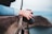 A person's hand holds a DSLR camera over a stone wall, above a blurred landscape with an out-of-focus view of nature and distant hills. The image conveys a sense of exploration and photography.