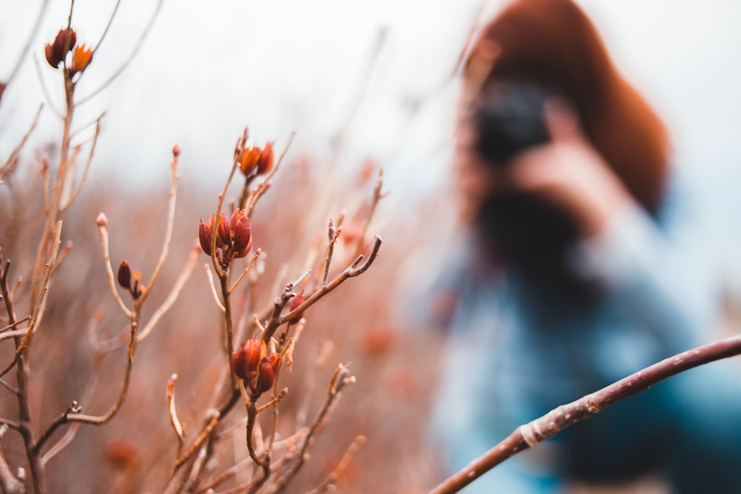 selective focus photography of plant with woman behind holding camera