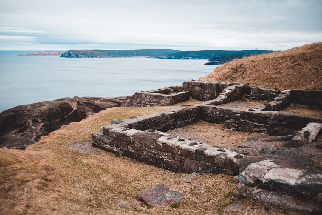 brown ruins near body of water