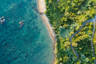 bird's eye view of beach line