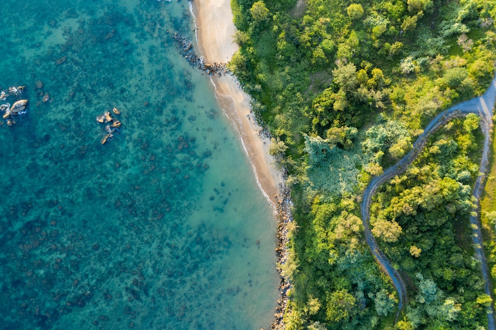 Blick aus der Vogelperspektive auf die Strandlinie