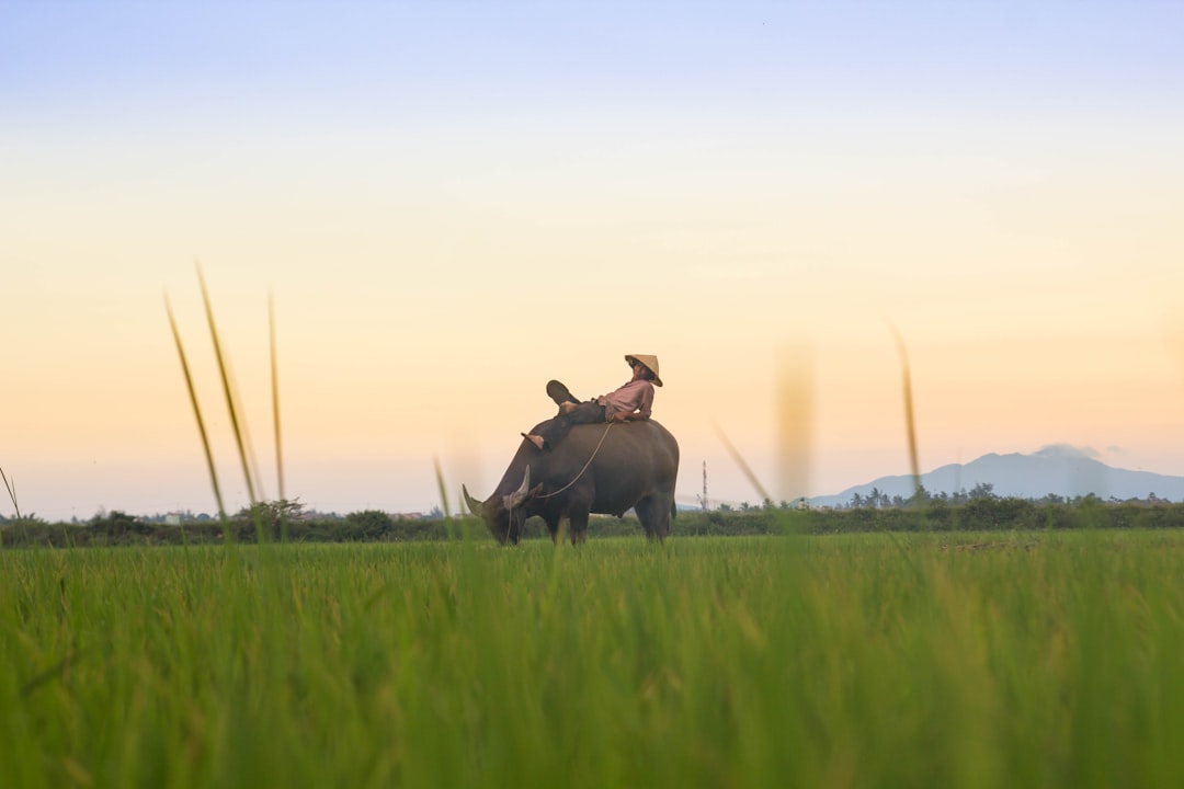 Vietnam Wildlife