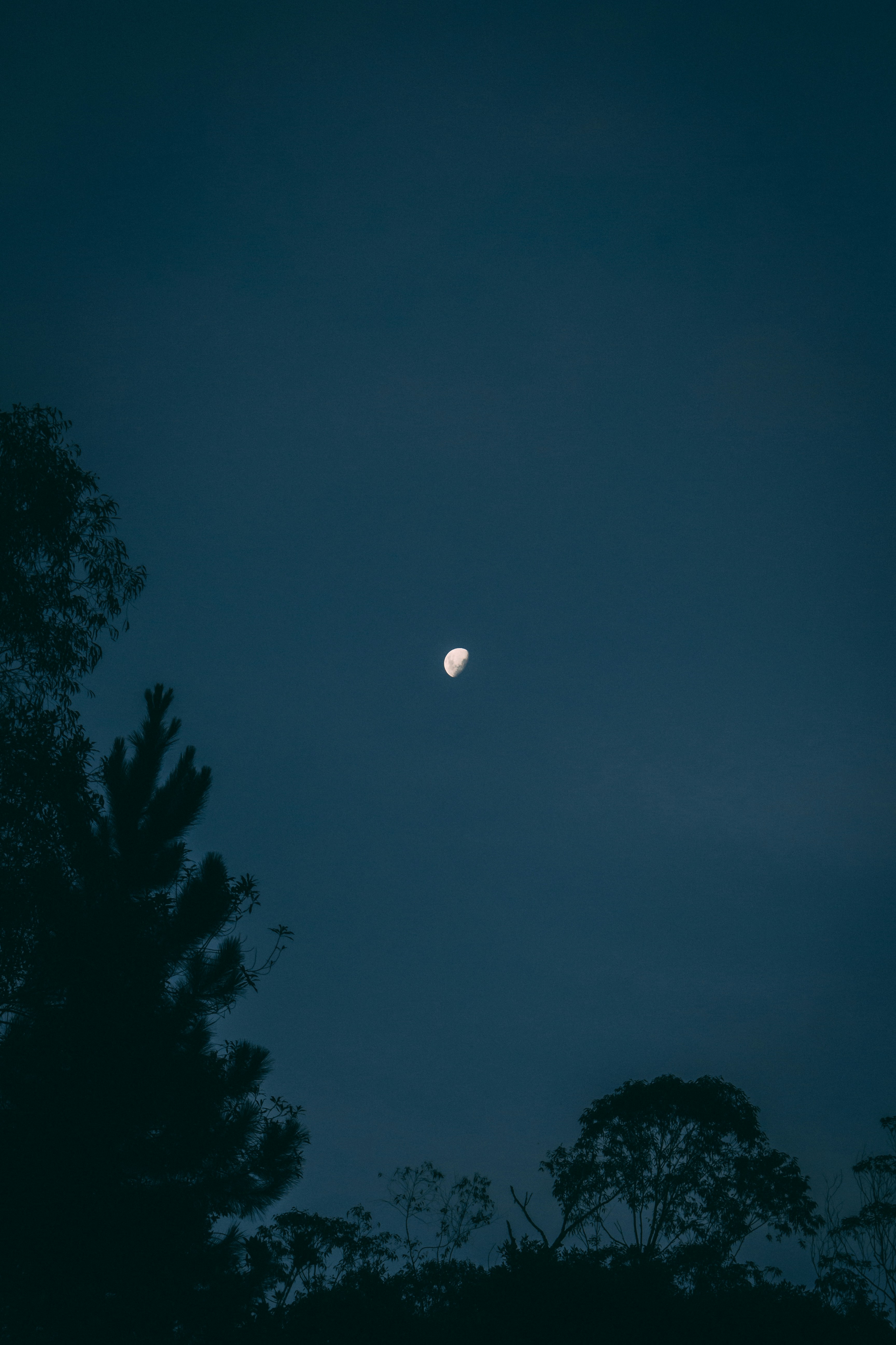 Photo by ronaldordeoliveira