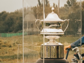 A shiny silver trophy with intricate handles and a lid is encased in a transparent glass box. The trophy is positioned outdoors with a background of green grass and trees. A person partially visible on the right is possibly adjusting or holding the glass case.