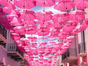 hanged pink umbrellas