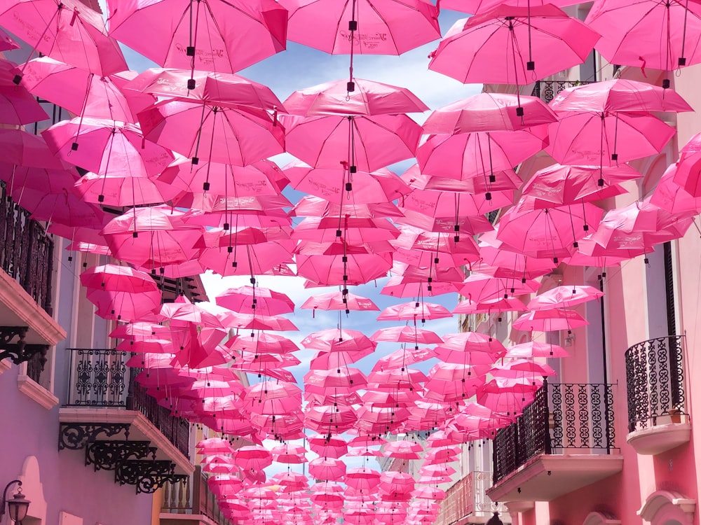 paraguas rosas colgados