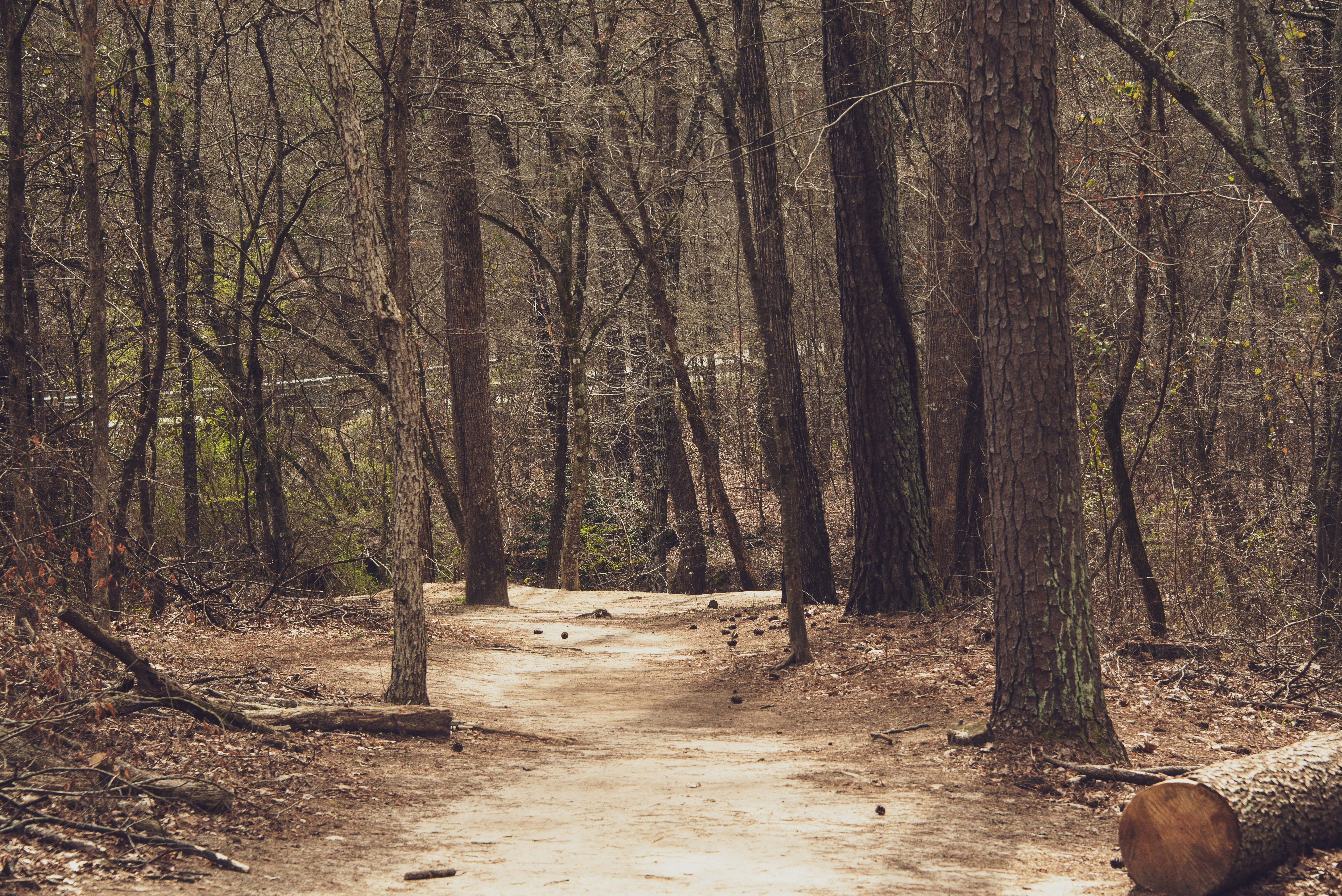 Photo by russphotographer