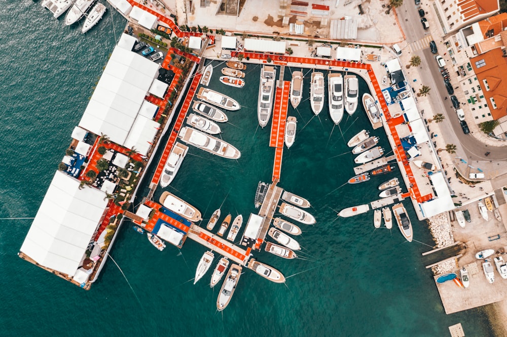 aerial view of yachts at marina