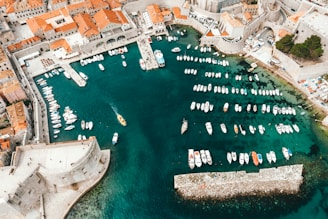 bird's-eye view photography of boats