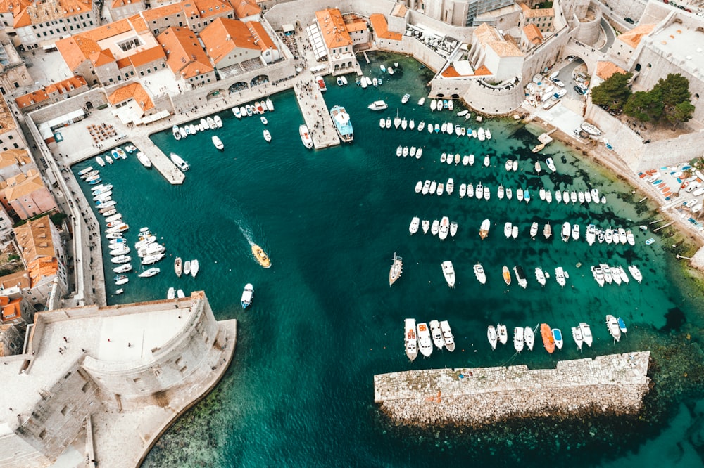 Fotografía a vista de pájaro de barcos