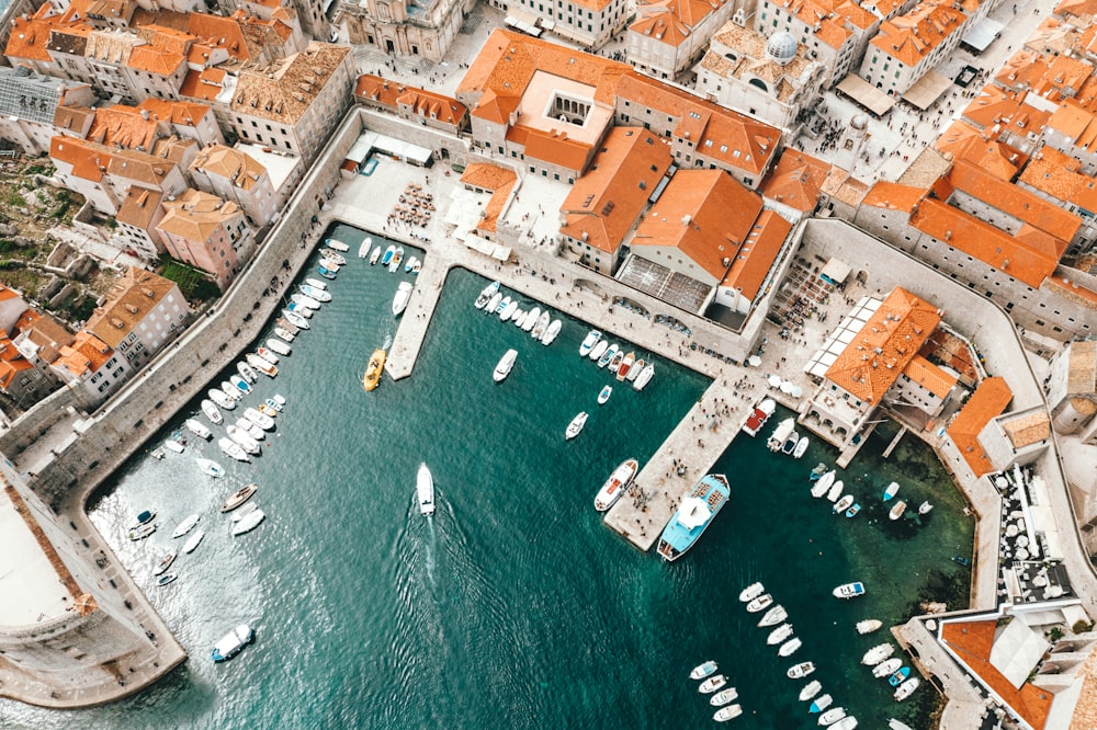 aerial photography of boats on pier and city