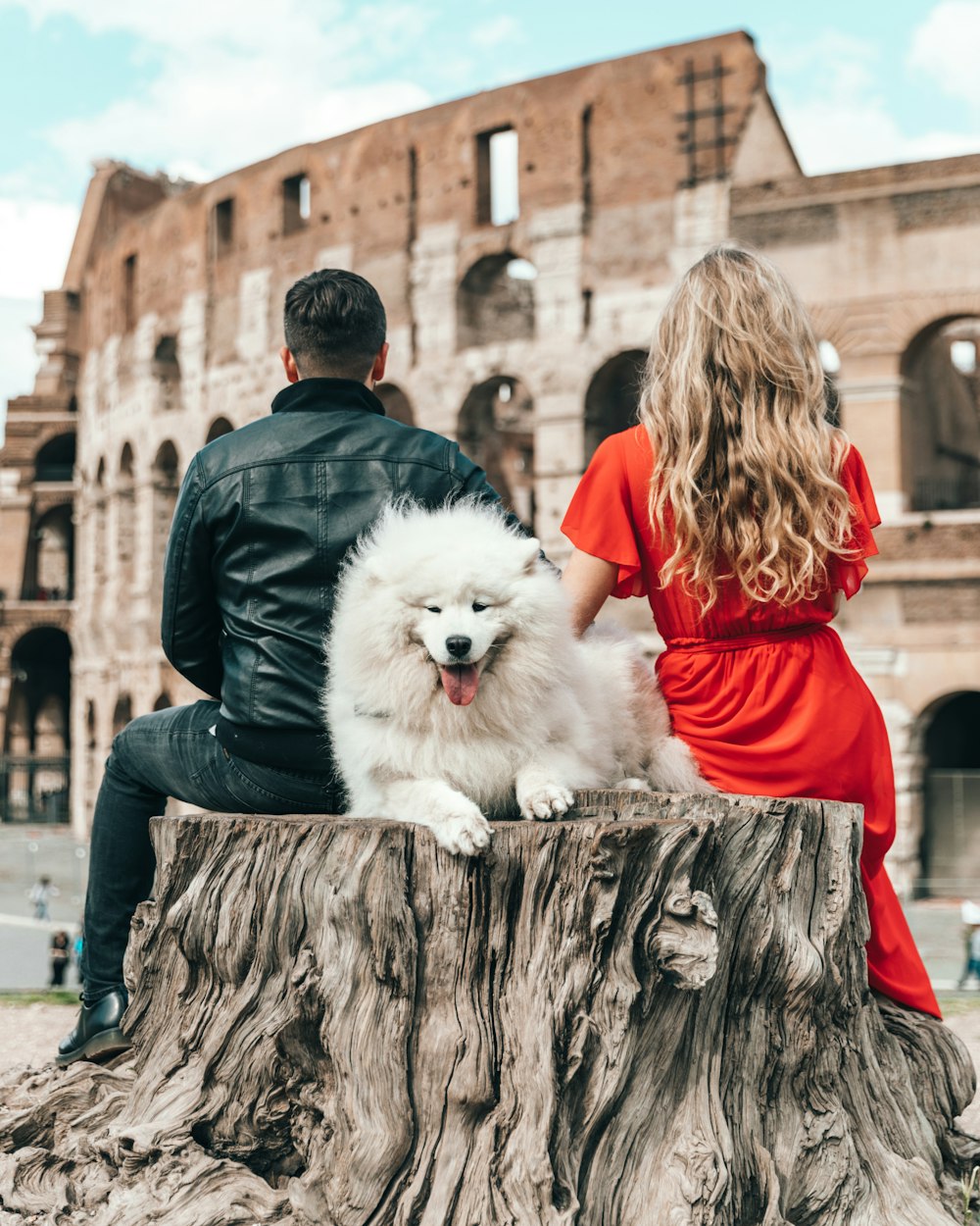 adult white Samoyed beside man and woman