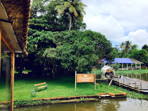 A serene riverside setting with lush greenery, a palm tree, and a sign for Punnamada Resort. A small wooden bench sits on the grassy bank by the water. A building with a blue roof and a covered boat are visible across a wooden dock.