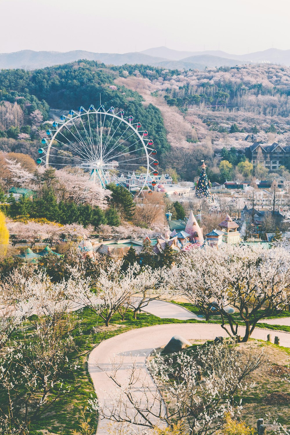 ferris wheel near mountains