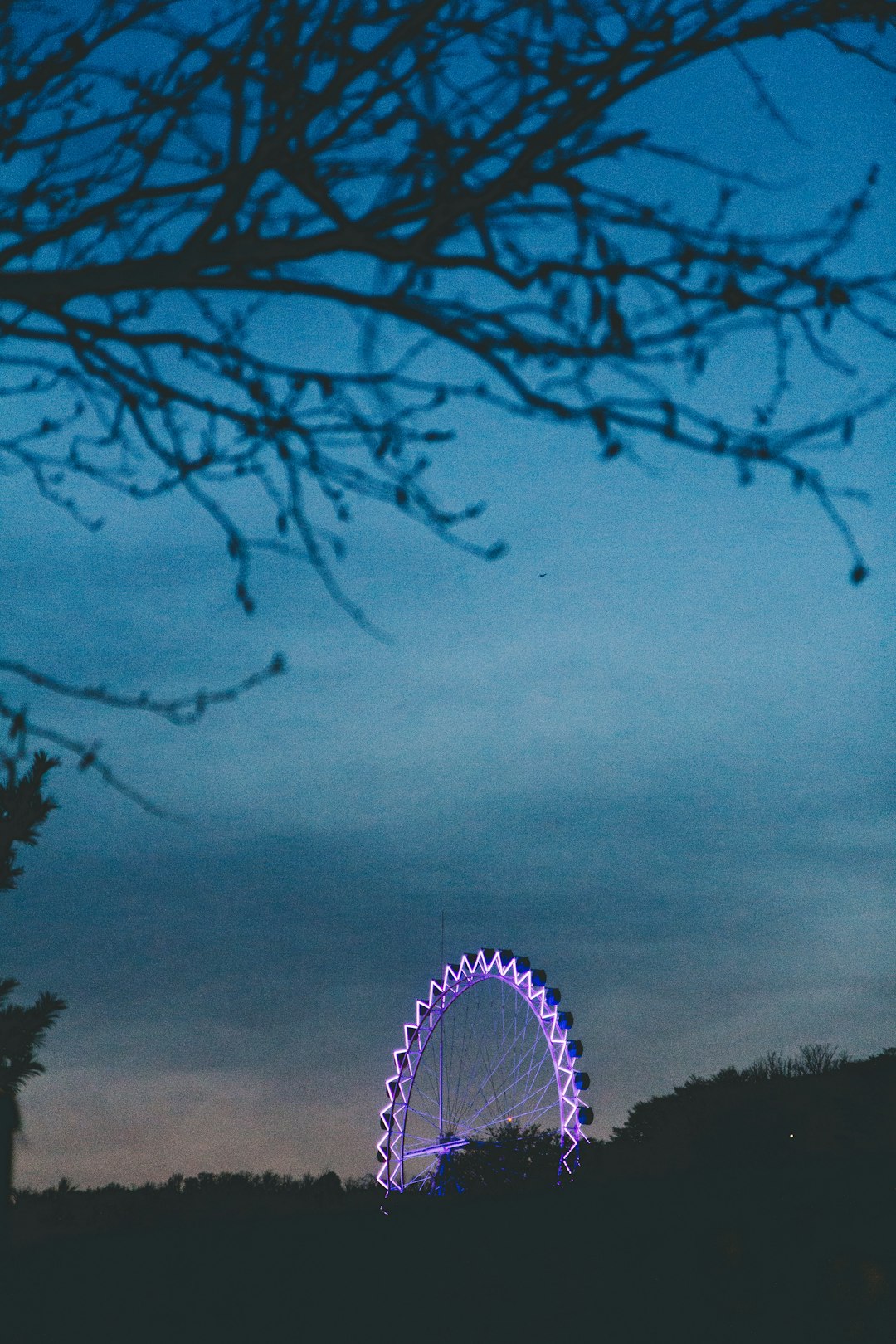 ferris wheel