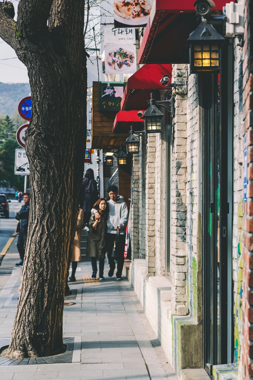 a group of people walking down a sidewalk next to a tree