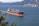 A large cargo ship sails through a body of water with a backdrop of forested mountains and a distant shoreline featuring tall buildings. The vessel is painted in black and red, contrasted against the deep blue of the water. In the foreground, leafy branches frame the left side of the image, providing a sense of depth and perspective.