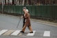 man and woman walking on pedestrian line during daytime