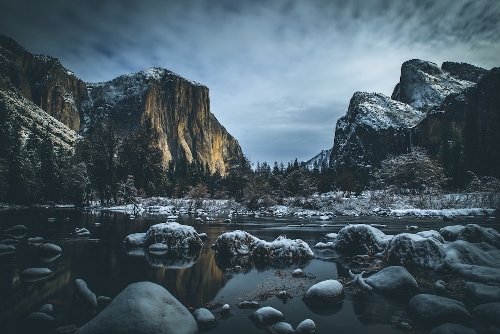 rocks on body of water in surrounded with trees