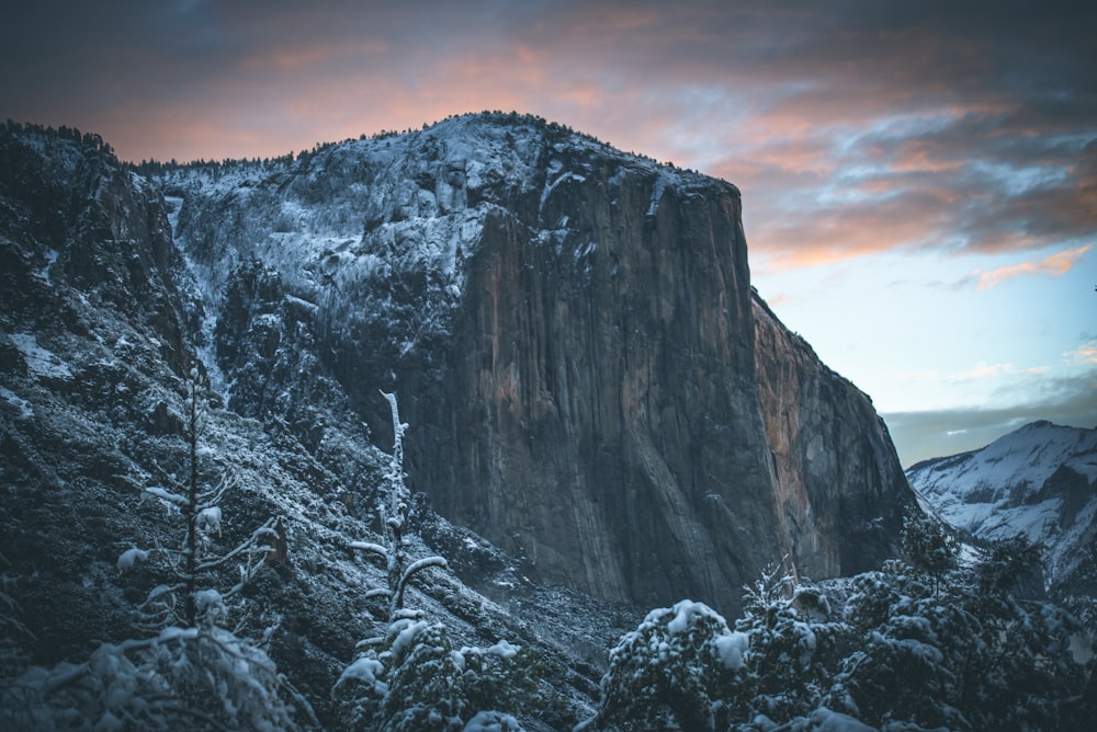 rocky mountain