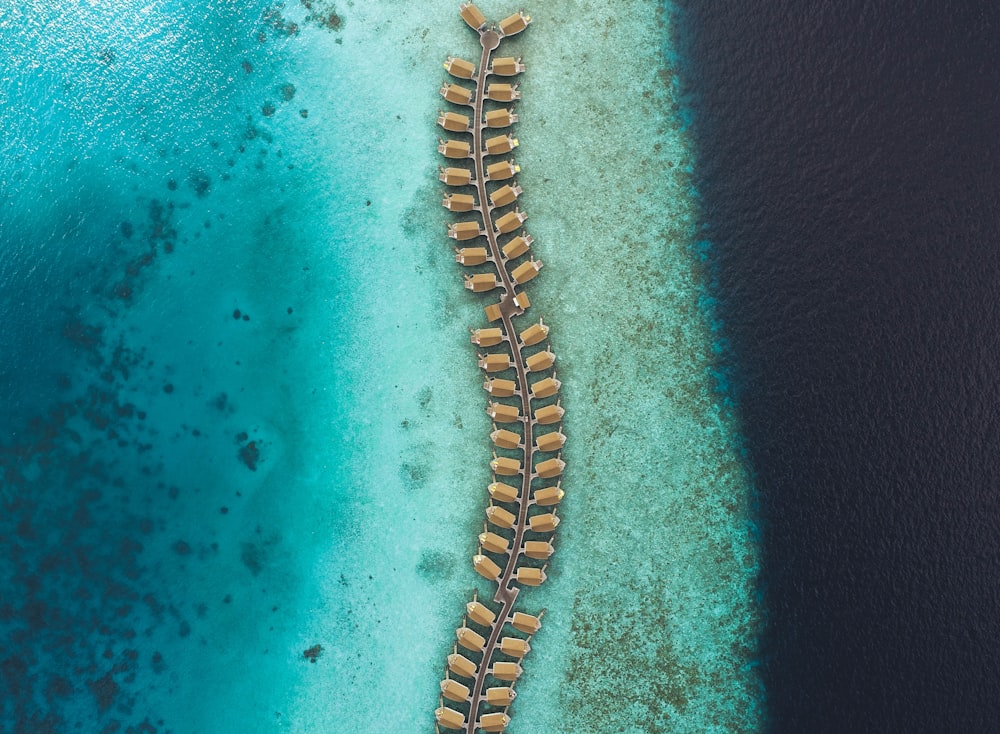 aerial photography of body of water