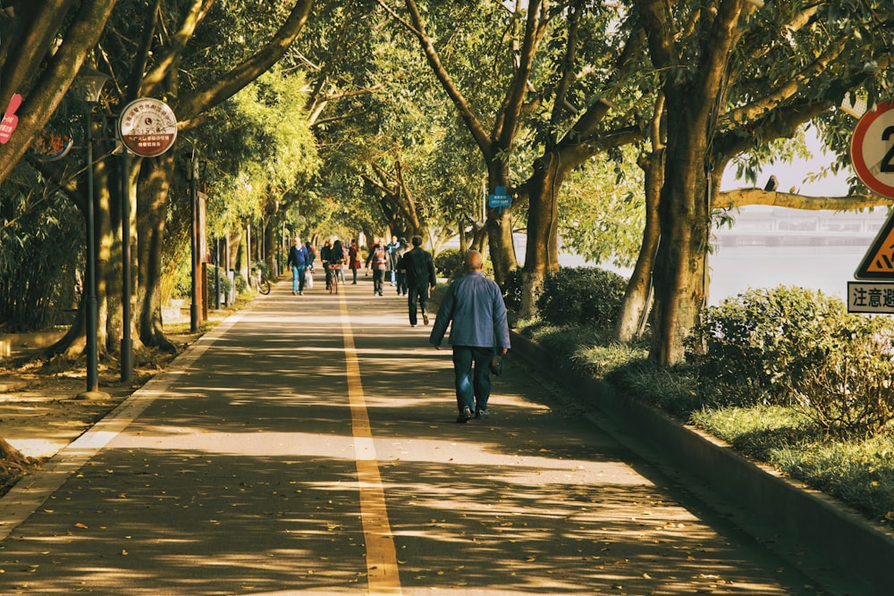 people walking on road lined with trees