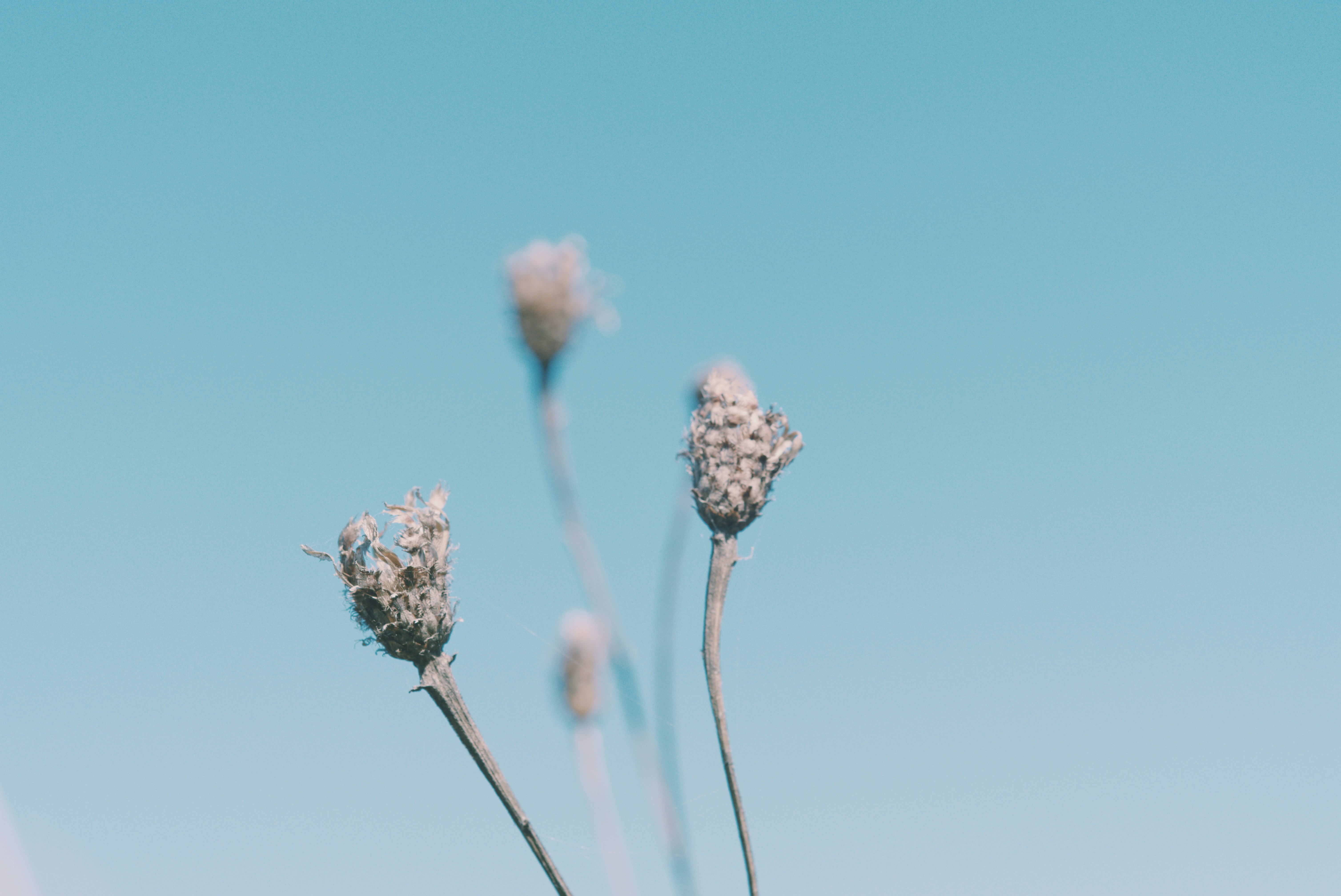 Photo by voyallaround