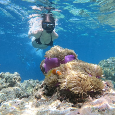 a person swimming in the water near a coral reef