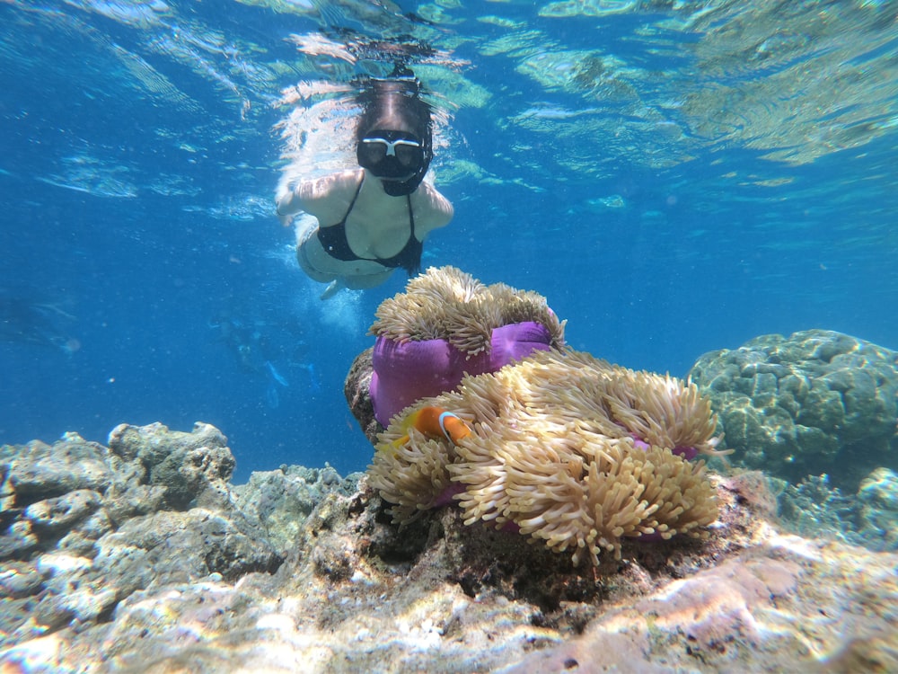 a person swimming in the water near a coral reef