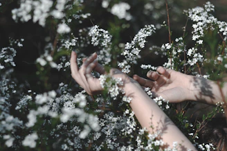 Gentle symbolic image of hands creating a protective circle with soft coral and blush pink hues.