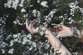 Delicate hands are surrounded by clusters of small, white flowers, suggesting a feeling of connection with nature. The scene is tranquil, with soft lighting enhancing the gentle interaction between the hands and flora.
